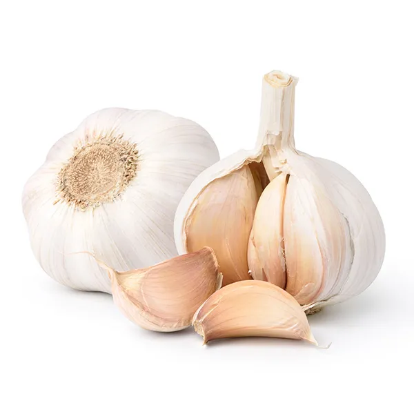 Knoblauch, Gewürzknolle, Knoblauchzehen, Weiße Knoblauchknolle, Allium sativum