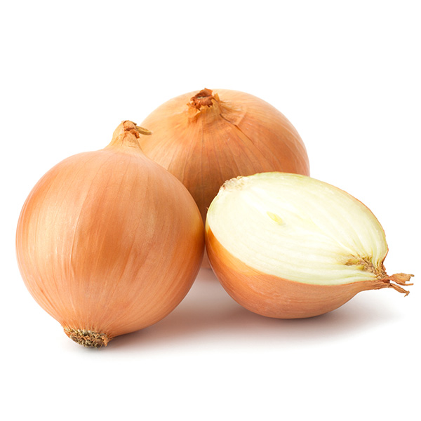 Goldene Speisezwiebel – Cebula Zólta