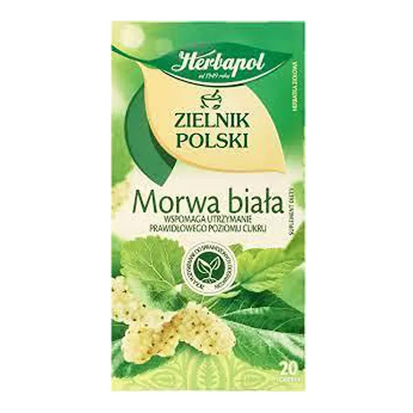 Kräuter, Pflanze, Getränk, Grüner Tee, Tee