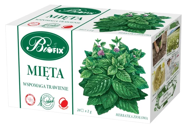 minze, pflanzen, tee, pflanzenextrakt, herbata