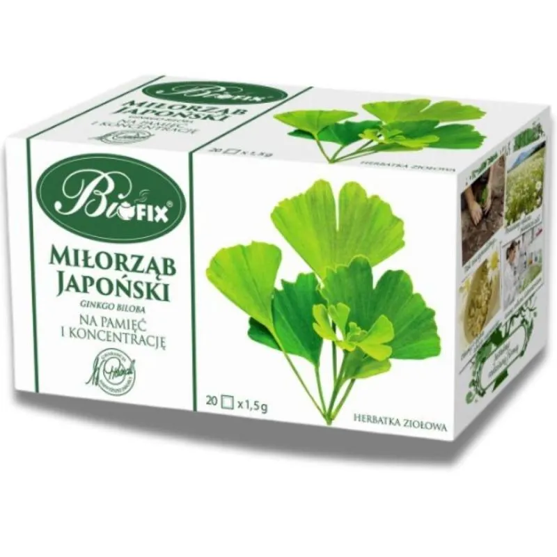 Ginkgo biloba, Kräutertee, Teebeutel, zubereitungsform, Grünes Blattwerk