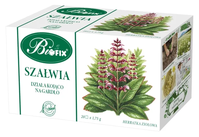 álka, szalwia, ziołowa herbata, liśćsaja, kwiatostan